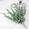 Nordic ins simulation single eucalyptus money leaf plastic flower artificial green plant leaf vase, forest style Specification image